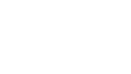logo_nikolausselinger_white